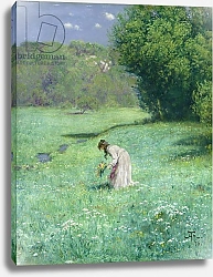 Постер Тома Ханс Woodland Meadow, 1876
