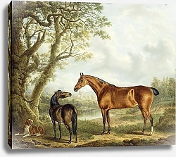 Постер Тауне Чарльз Hunters and a Spaniel in an Extensive Landscape, 1827