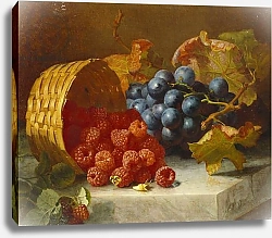 Постер Стэннард Элоиза Still Life with Raspberries and a Bunch of Grapes on a Marble Ledge, 1882