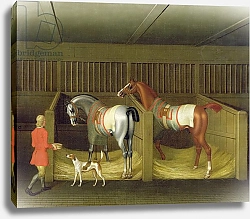 Постер Сеймур Джеймс The Stables and Two Famous Running Horses belonging to His Grace, the Duke of Bolton, 1747