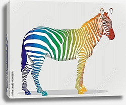 Постер Разноцветная зебра