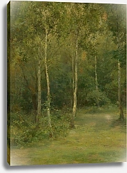Постер Чордак Людовит Wooded Landscape With Little Birches