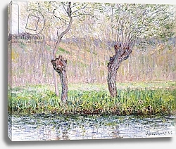 Постер Моне Клод (Claude Monet) Spring, Willows, 1885