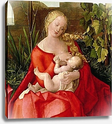 Постер Дюрер Альбрехт (последователи) Virgin and Child 'Madonna with the Iris', 1508 2
