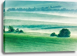 Постер Чехия. Туман в полях Моравии