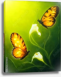 Постер Бабочки над цветками каллы на зеленом фоне