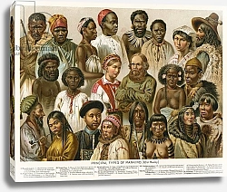 Постер Школа: Северная Америка (19 в) Principal Types of Mankind