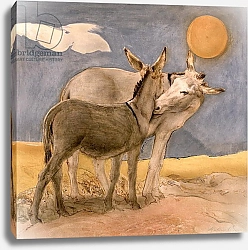 Постер Сикконе Антонио (совр) Donkeys, 1989