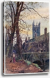 Постер Мэттисон Вильям Magdalen Tower from Addison's Walk