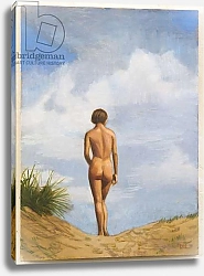 Постер Ханна Дункан (совр) Nude Beach