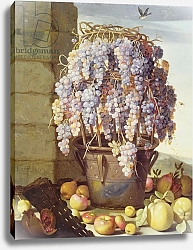 Постер Форте Лука Still Life of Fruit and Grapes