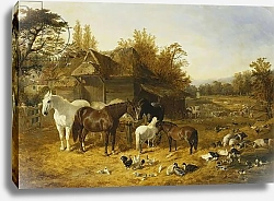 Постер Херринг Джон A Farmyard with Horses and Ponies, Berkshire, Saddlebacks, Alderney Shorthorn Cattle, Bantams, Mallard and Guinea Fowl, with a Country Mansion by a River in the Distance, 1853
