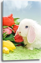 Постер Белый кролик и букет тюльпанов