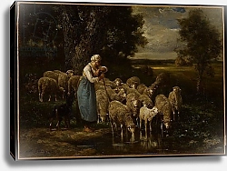 Постер Жак Шарль Эмиль Shepherdess and Sheep, Fontainebleau