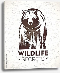 Постер Секреты дикой природы
