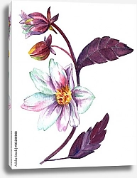 Постер Белый цветок с фиолетовыми листьями