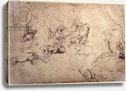 Постер Микеланджело (Michelangelo Buonarroti) W.61v Male figure studies