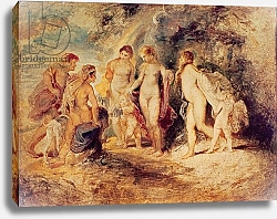 Постер Рубенс Петер (Pieter Paul Rubens) The Judgement of Paris, c.1599-1601