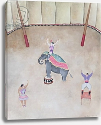 Постер Стюарт Мари (совр) Elephant, 1980