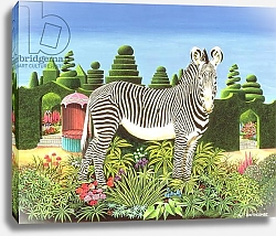 Постер Сауфкомб Энтони (совр) Zebra in a Garden, 1977