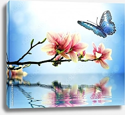 Постер Бабочка и цветы магнолии над водой