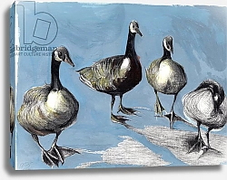 Постер Мониц Коламбус Нэнси (совр) Friendly Canada Geese, 2012,