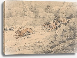 Постер Олкен Самуэль Spaniel Chasing a Hare