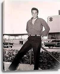 Постер Presley, Elvis 14