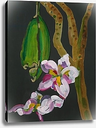 Постер Бартон Дебора (совр) Frangipani Flower, Bequia, 2008