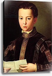 Постер Бронзино Анджело Portrait of Francesco I de' Medici as a Young Boy, 1551