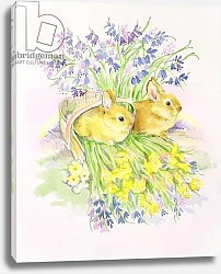 Постер Мэттьюз Диана (совр) Rabbits in a basket with Daffodils and Bluebells