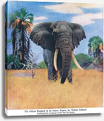 Постер Кунер Вильгельм African elephant in his native haunts
