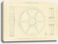 Постер Projections of a Spur Wheel 1