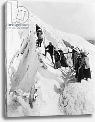 Постер Climbing Paradise Glacier, Rainier National Park, Washington, c.1915
