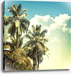 Постер Пальмы на фоне неба