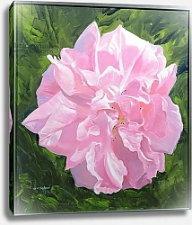Постер Айреленд Вильям (совр) Victorian Rose