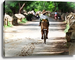 Постер  Мьянма, женщина на велосипеде