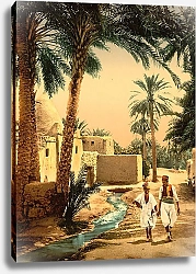 Постер Алжир. Бискра, улица в старинном городе