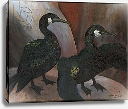 Постер Моррис Седрик (совр) Green Cormorants, 1925