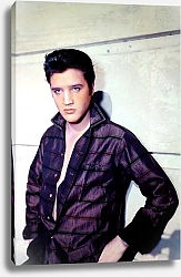 Постер Presley, Elvis 2