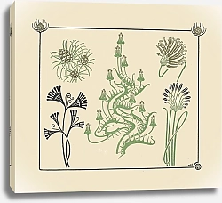 Постер Верней Морис Abstract design based on flowers and pinecones