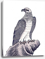 Постер Восточные птицы 53
