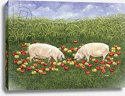 Постер Дитц (совр) Apple-sows