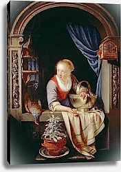 Постер Доу Герард Woman at a Window, 1663