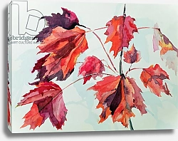 Постер Годлевска де Аранда (совр) No.24 Autumn Maple Leaves