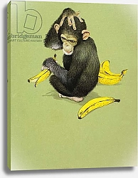 Постер Школа: Английская 20в. Monkey with Bananas