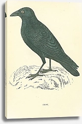 Постер Crow 2