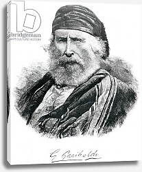 Постер Школа: Итальянская 19в Portrait of Giuseppe Garibaldi 2