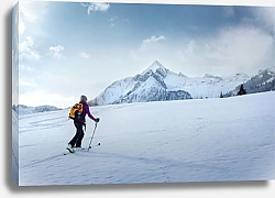 Постер Лыжная прогулка в горах