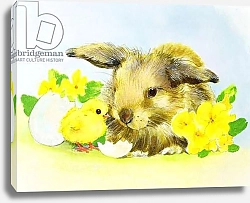 Постер Мэттьюз Диана (совр) Easter bunny with primrose and chick